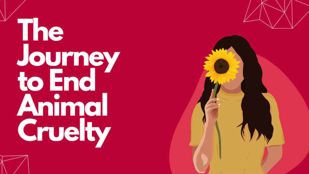A Ray of Hope – The Journey to End Animal&nbsp;Cruelty